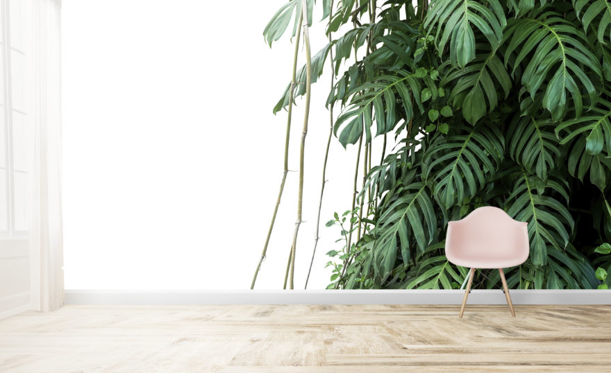 Monstera Custom Fotowand