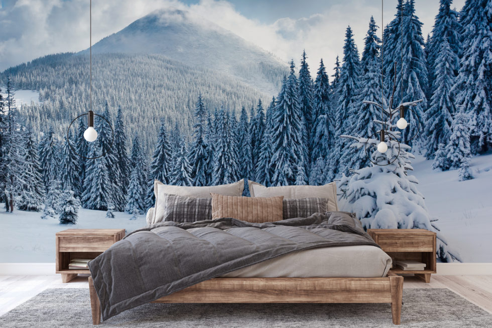 Snowy Landscape